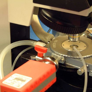 Gefriertrocknungs-Mikroskopkammern